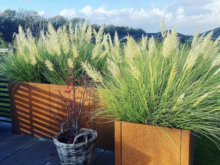 prydgraesser-cortenstaal-no