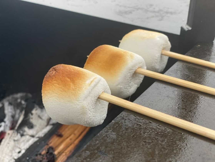 skumfidus-paa-baalgrill-no