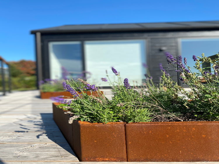 sommerhus-special2-no