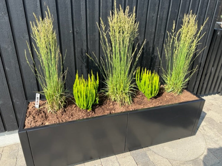 sort-plantekasse