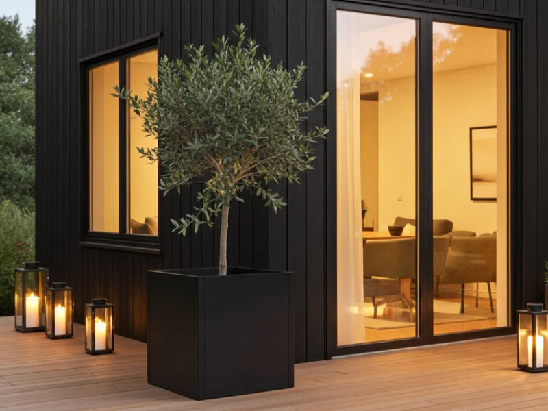 Stor plantekasse i svart stål med oliventre på terrasse