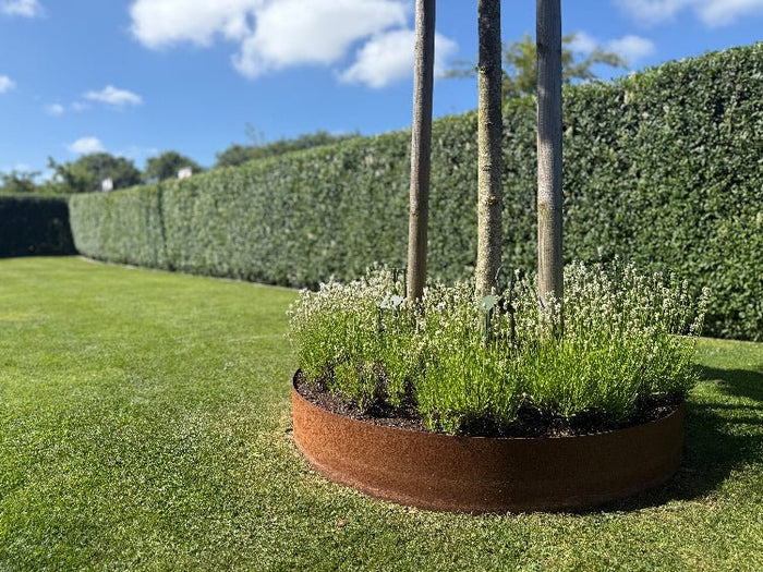 Bedring i cortenstål rundt tre i gressplen