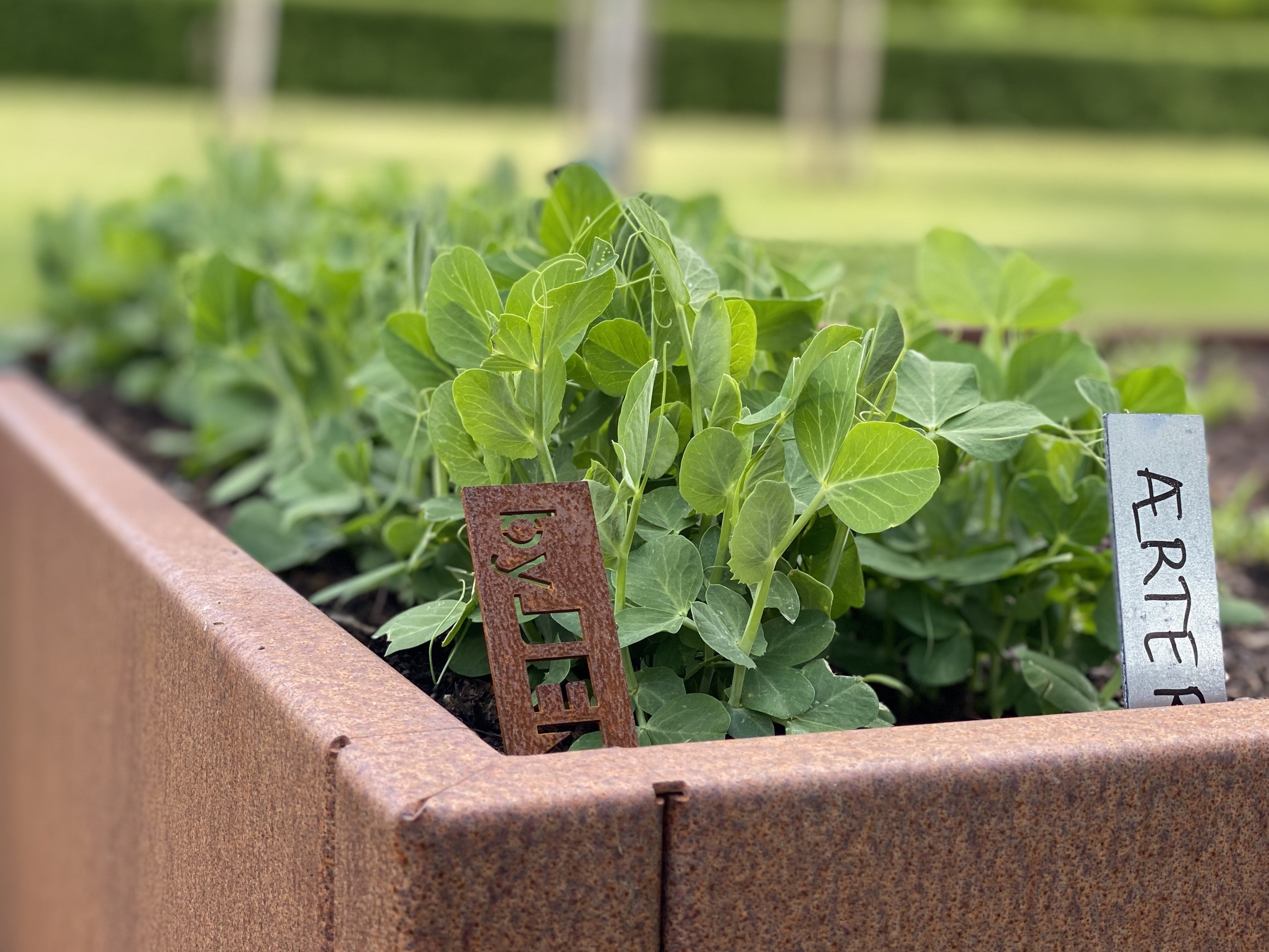 Blomsterkasser i CUBY-serien