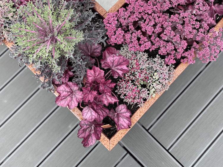 Plantekasser i cortenstål i CUBY-design
