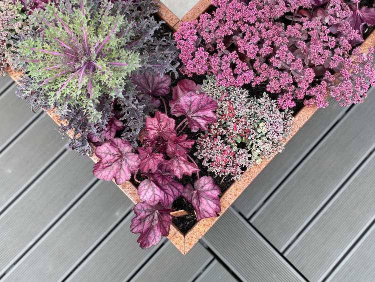 Plantekasser i cortenstål i CUBY-design