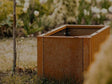 Cortenstaal-plantekasse-CUBY23-no