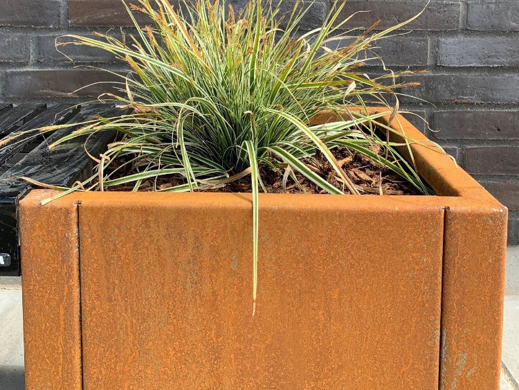 Cortenstaal-plantekasse-CUBY52-no