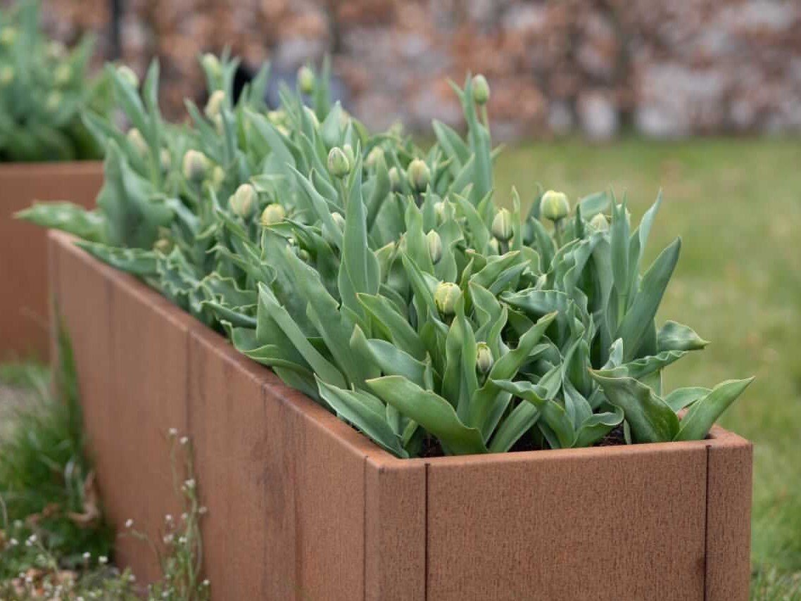 Cortenstaal-plantekasse-green-no 