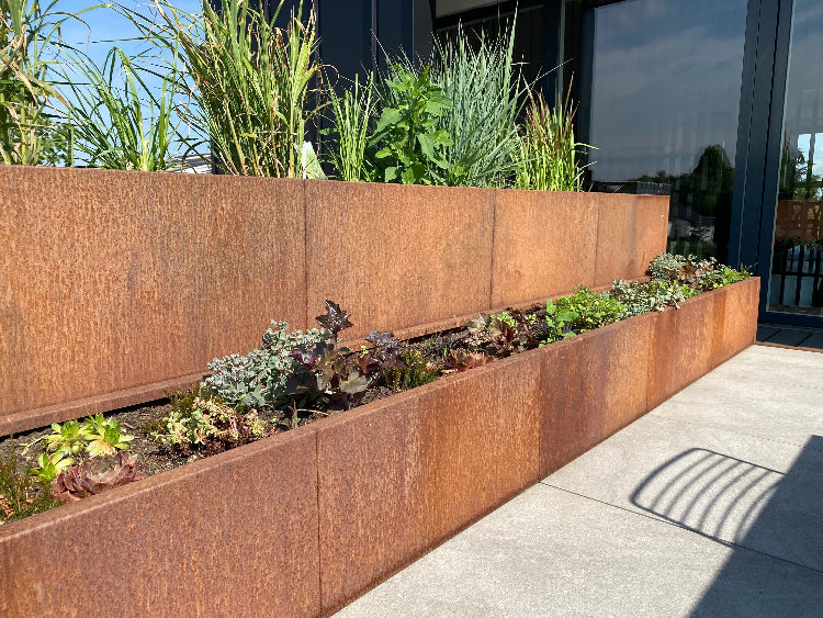 Cortenstaal-plantekasse-sedum2-no