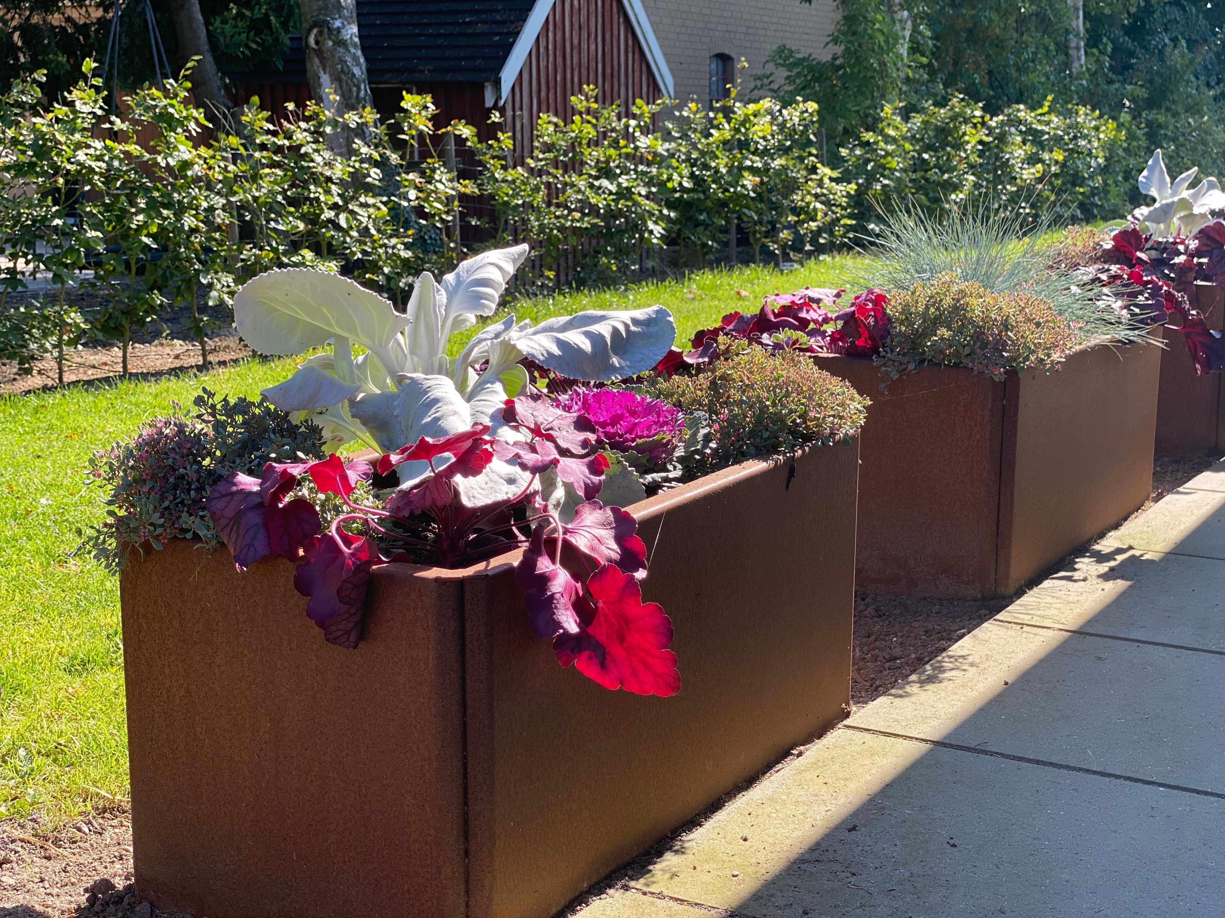 EDGY-Cortenstaal-80-uden-bund2-no