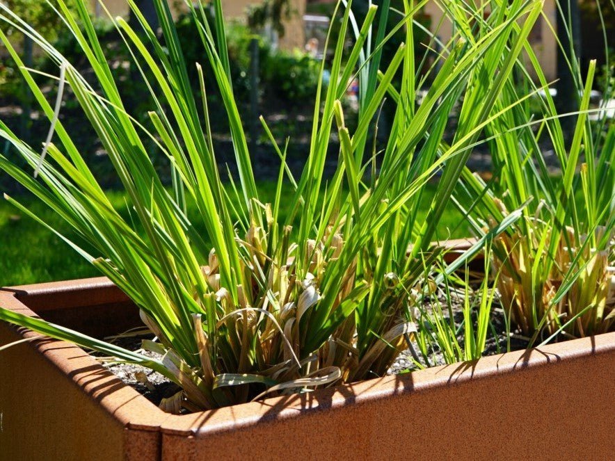 EDGY-corten-plantekasse3-no