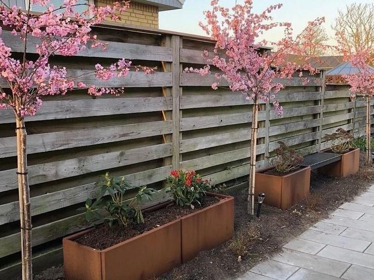 EDGY-kirsebaertraeer-kundebillede-no