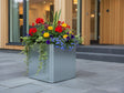 EDGY plantekasse i galvanisert stål med fargerike blomster ved moderne bolig