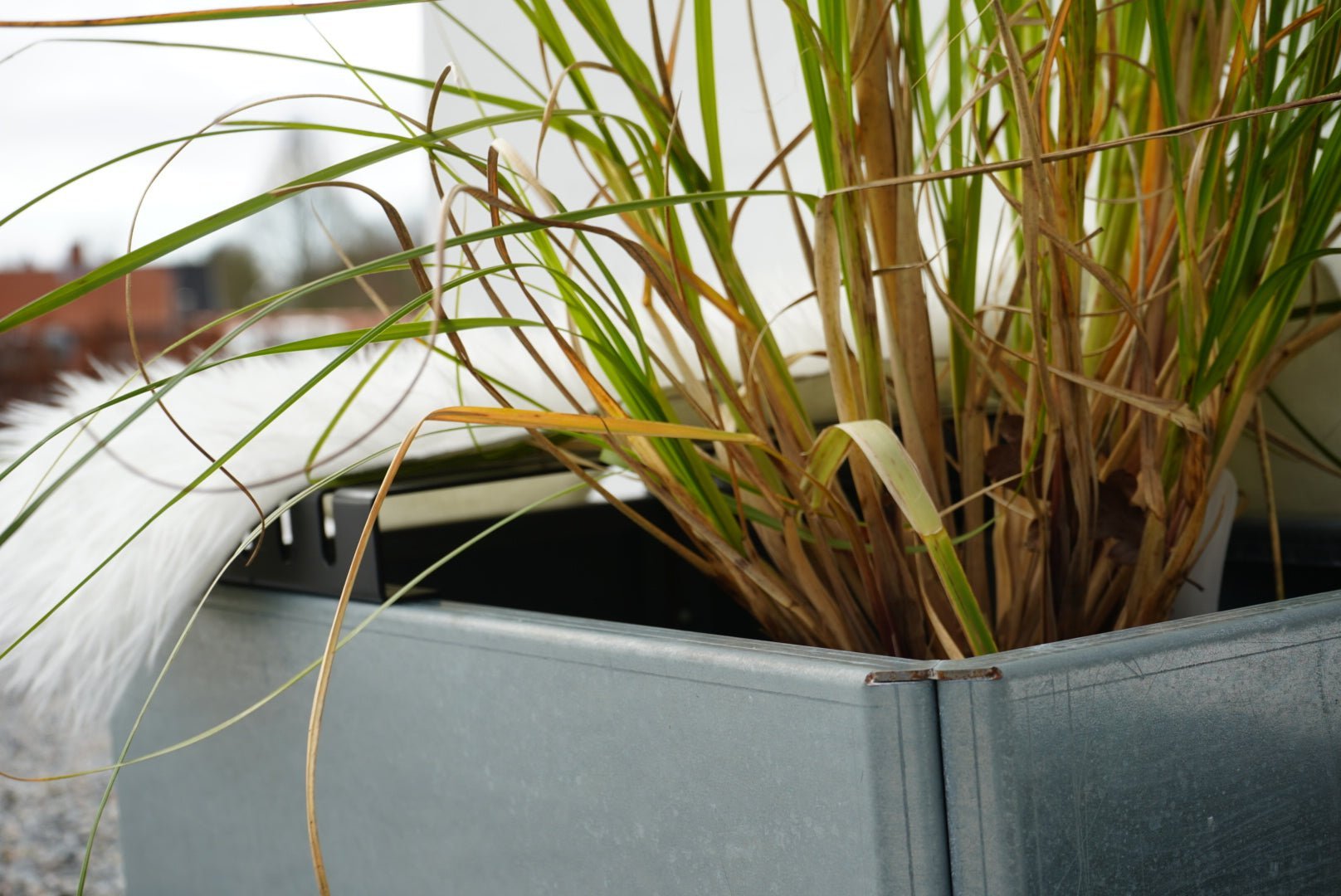 EDGYGalvavinkel-plantekasse3-no