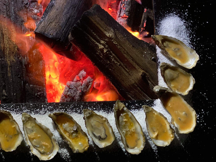 Grillplade-og-til-baalgrill16-no