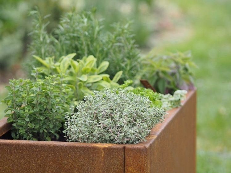 Blomsterkasse drenering: Nøkkelen til sunne og blomstrende planter i din hage () Blomsterkasse drenering: Nøkkelen til sunne og blomstrende planter i din hage