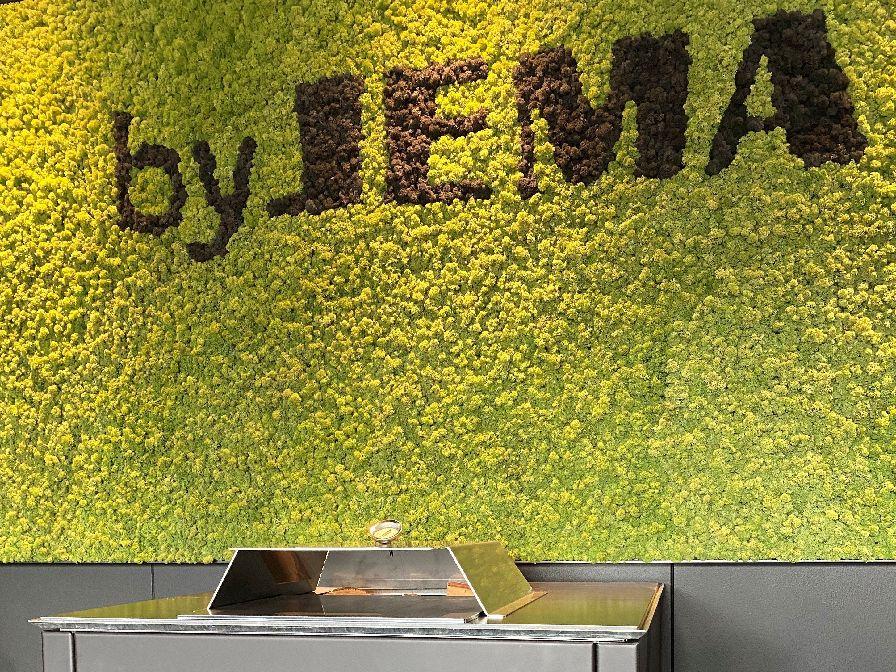 Pizzaovn-CUBY-baalgrill12-no