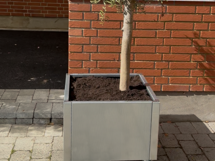 Plantekasse-EDGY1-no