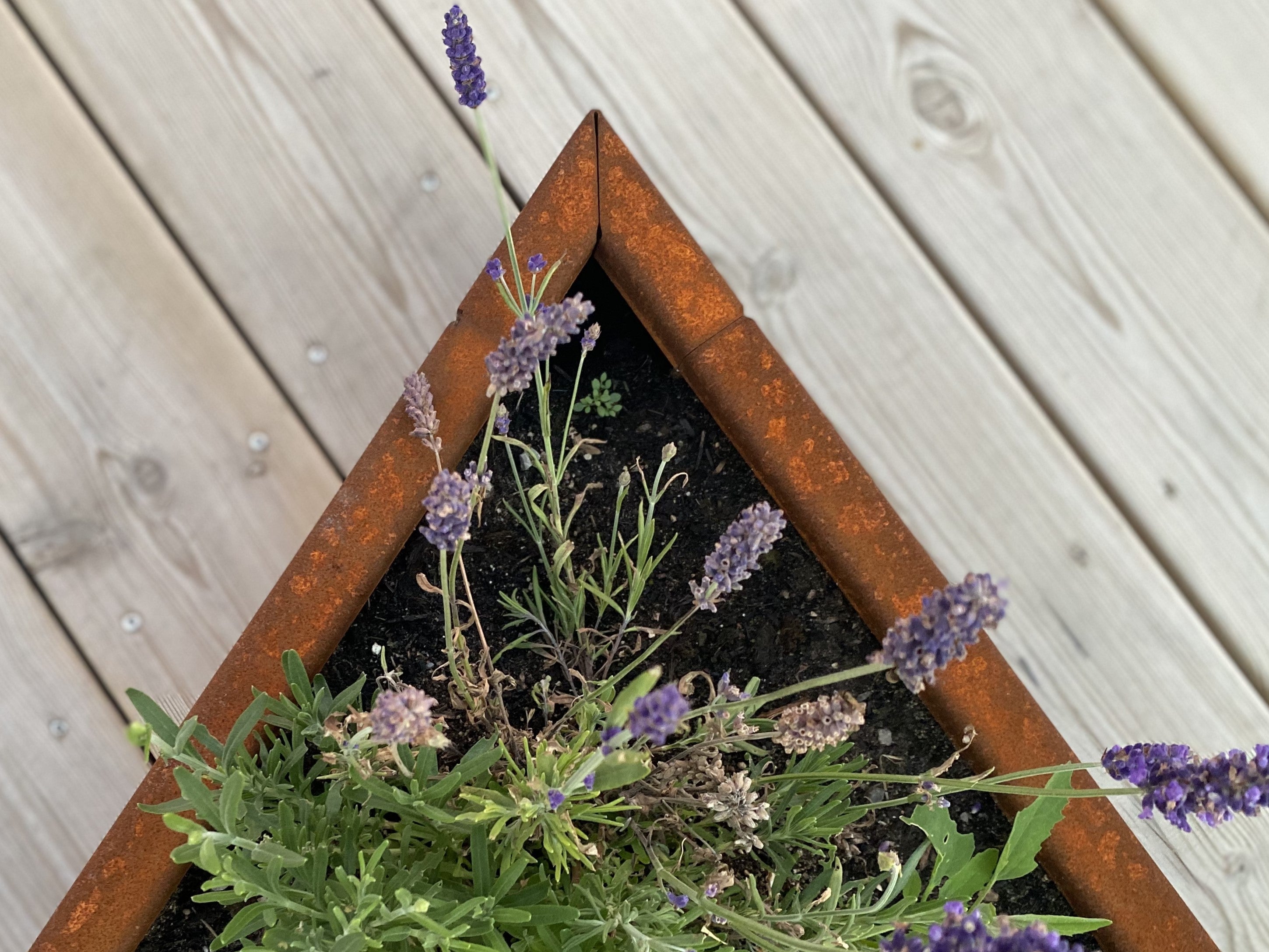 Skarpe-vinkel-plantekasse-specialmaal-no