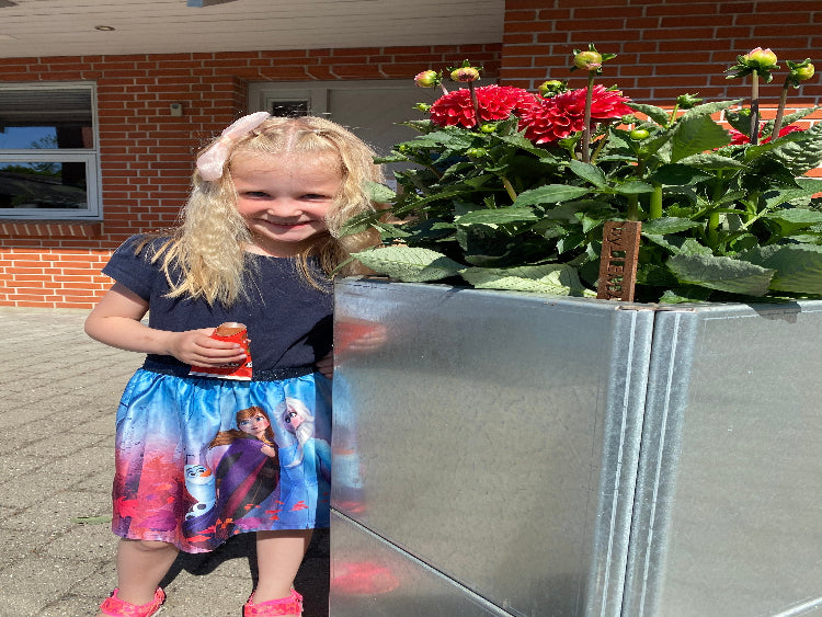 bella-blomster-galva-no