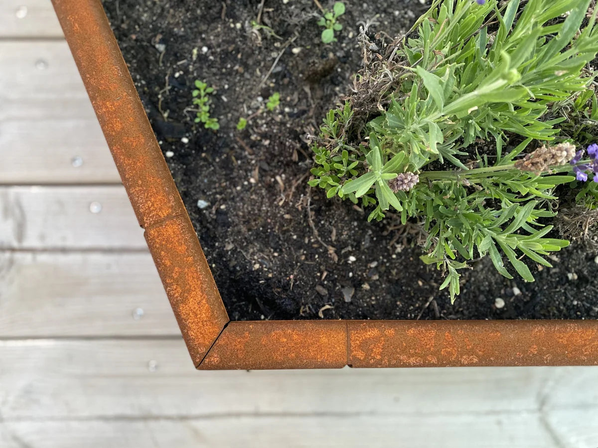 Detalj av byJEMA plantekasse i cortenstål med lavendel sett ovenfra