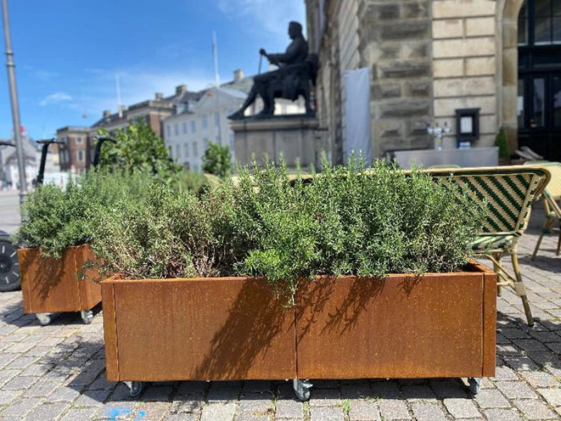 CUBY plantekasser i cortenstål med beplantning foran café