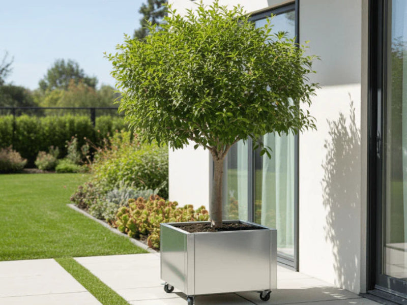 Plantekasse i galvanisert stål fra CUBY med lite tre ved terrasse