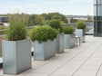 Høye plantekasser i galvanisert stål fra CUBY med busker på takterrasse
