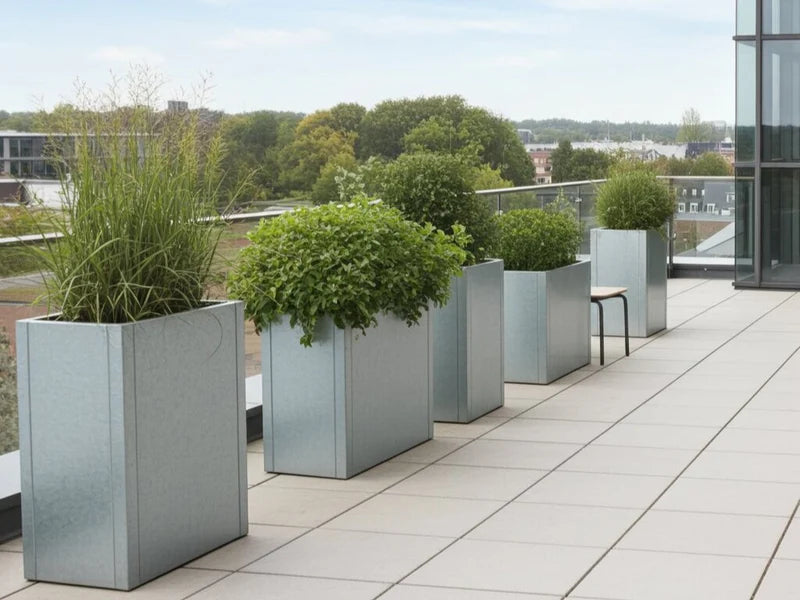 Høye plantekasser i galvanisert stål fra CUBY med busker på takterrasse