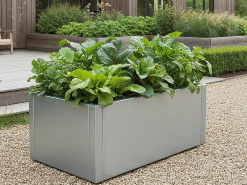 Høybed i galvanisert stål fra CUBY med salatplanter
