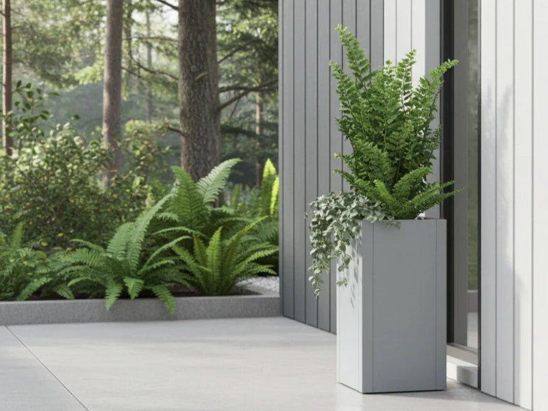 CUBY plantekasse i galvanisert stål med bregner ved husvegg