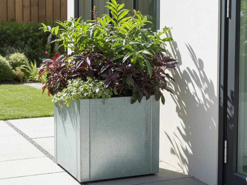 CUBY lav kvadratisk plantekasse i galvanisert stål plassert ved inngangsparti med frodig beplantning