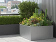 CUBY lav kvadratisk plantekasse i galvanisert stål med variert beplantning på urban terrasse