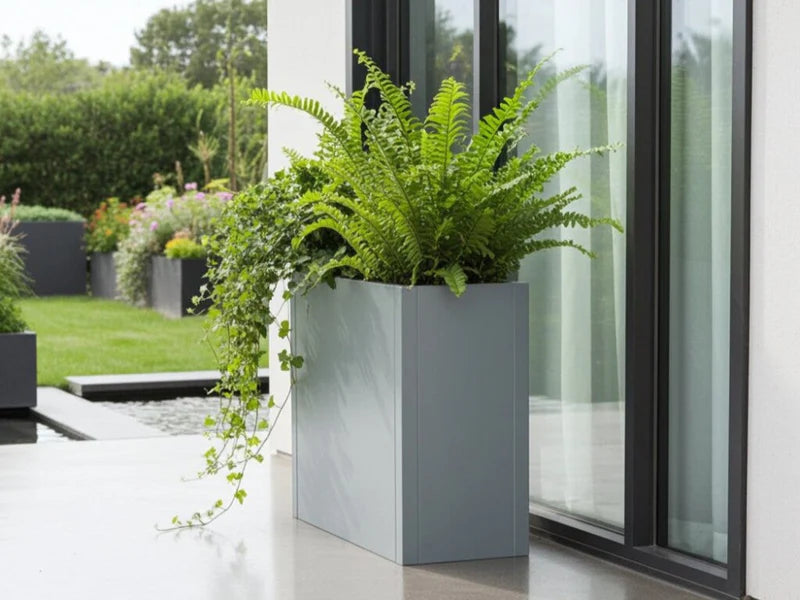 CUBY høy rektangulær plantekasse i galvanisert stål med bregner ved glassparti