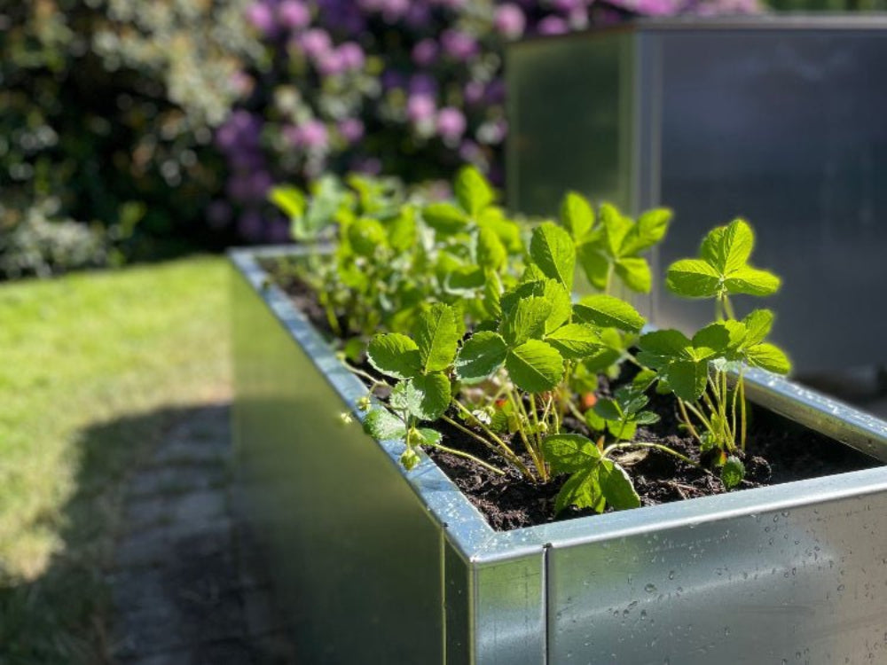 CUBY plantekasse i galvanisert stål med grønn beplantning
