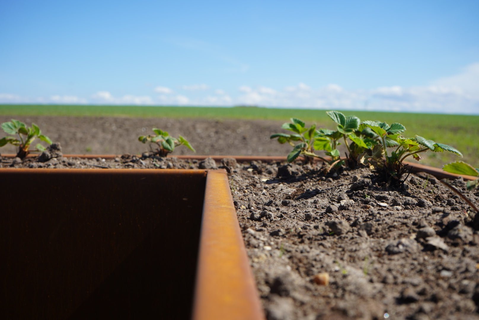 detaljer-ved-betonhuset-cortenstaal-no