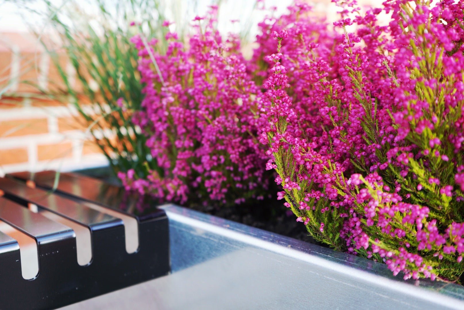 edgy-baenke-detaljer-no