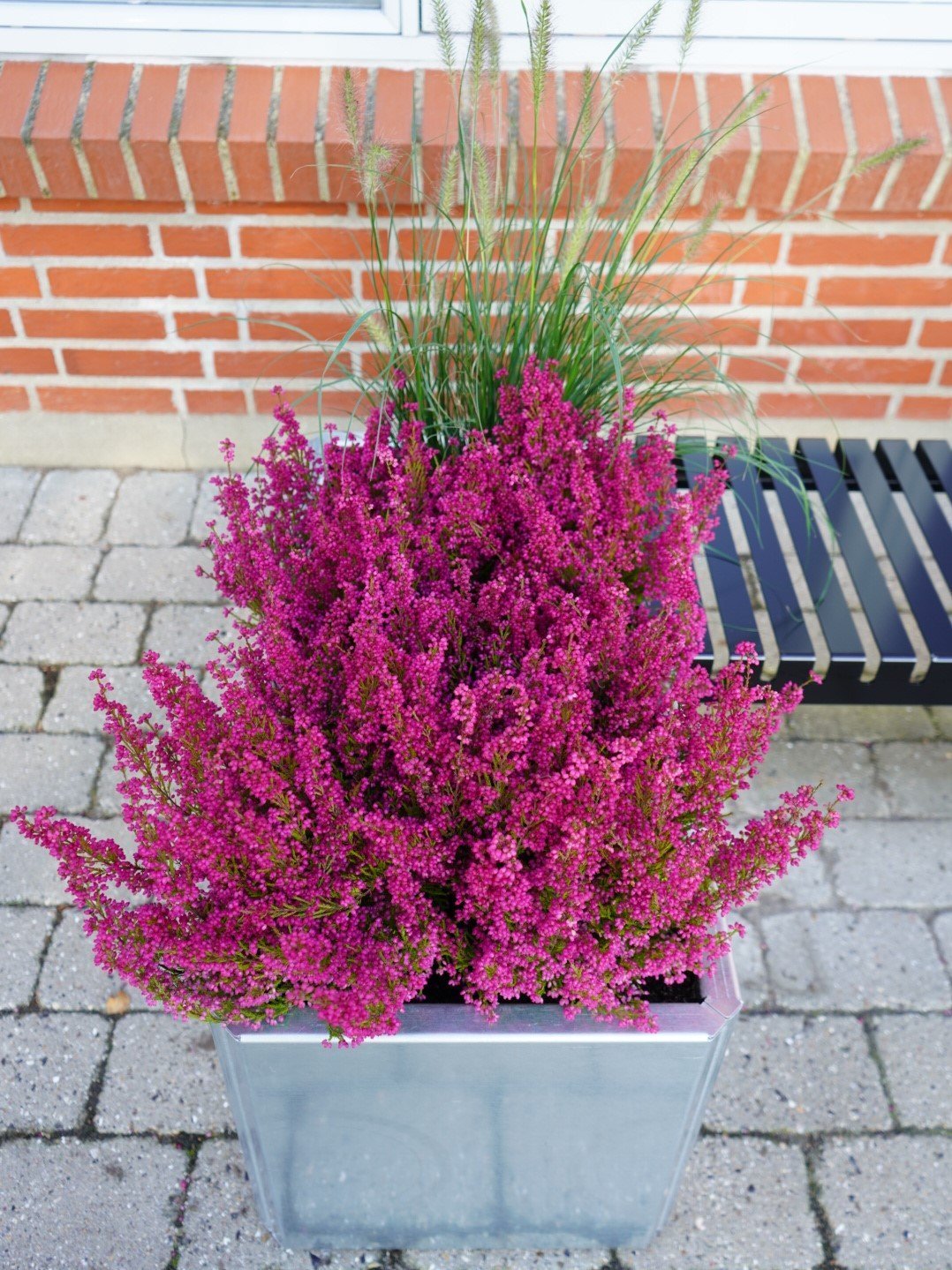 edgy-baenklosning-sort-baenk-no