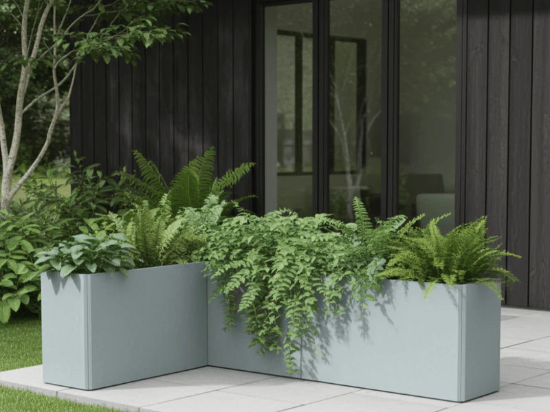 EDGY hjørne plantekasse i galvanisert stål med bregner