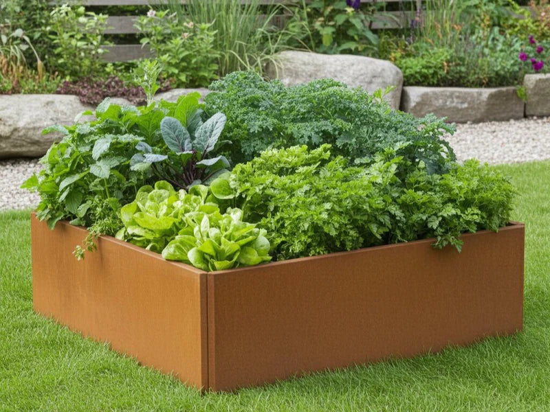 EDGY lav kvadratisk høybed i cortenstål med grønnsaker i kjøkkenhage