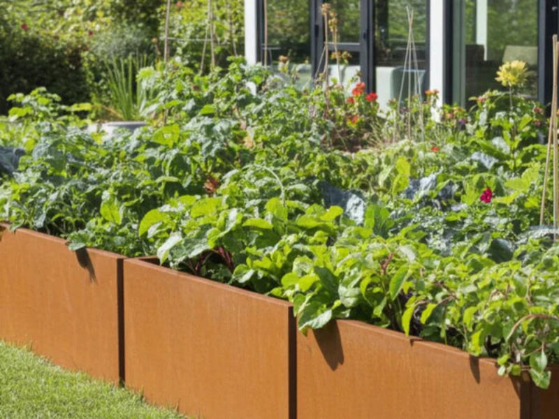 Lang EDGY plantekasse i cortenstål med grønnsaker i kjøkkenhage