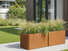 EDGY lav rektangulær plantekasse i cortenstål med prydgress