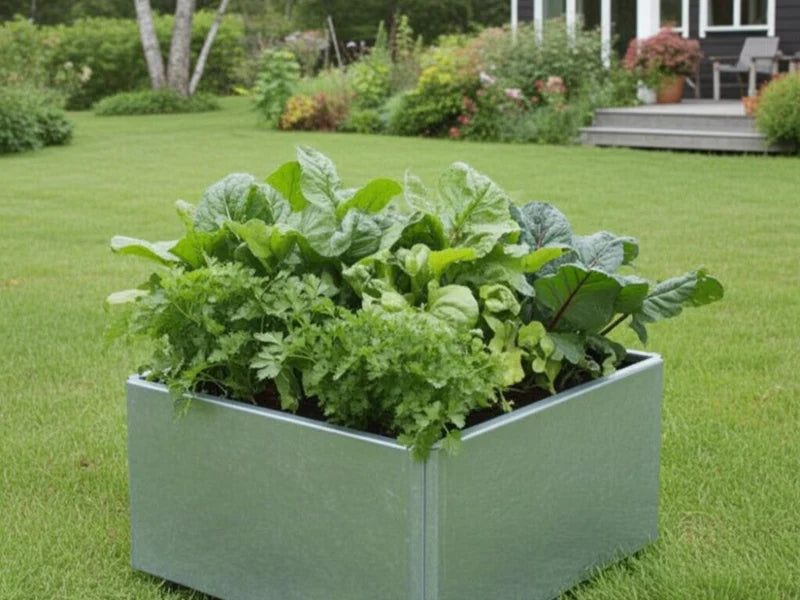 EDGY plantekasse i galvanisert stål brukt som lavt høybed