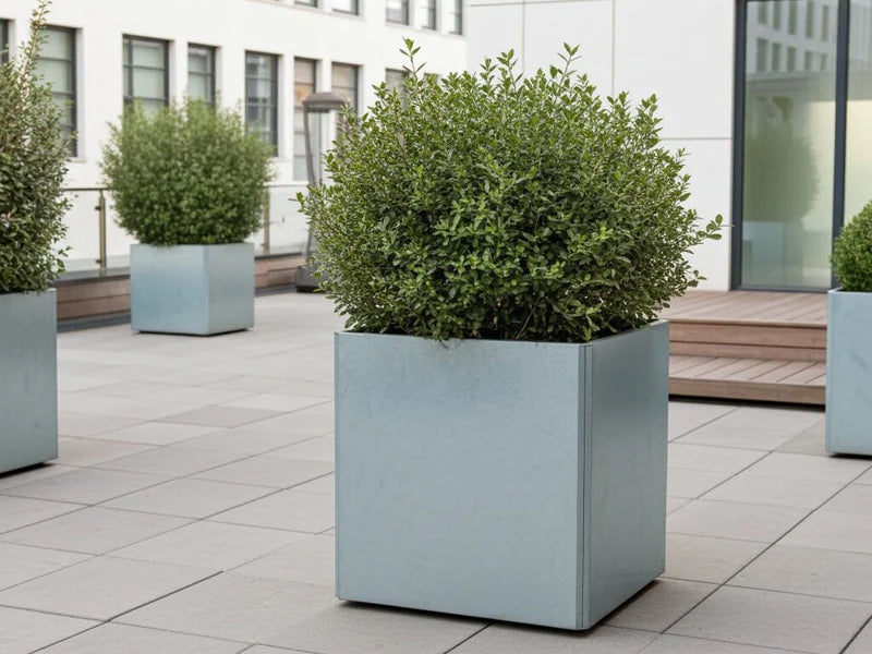 Kvadratisk EDGY plantekasse i galvanisert stål på takterrasse