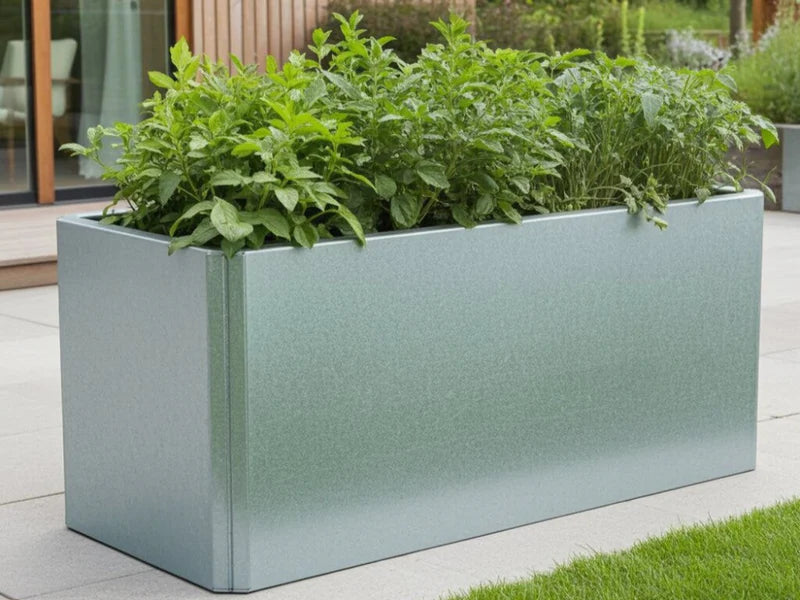 EDGY lav rektangulær plantekasse i galvanisert stål med urter
