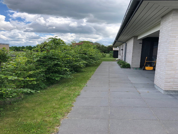 groenne-glimt-foer-no