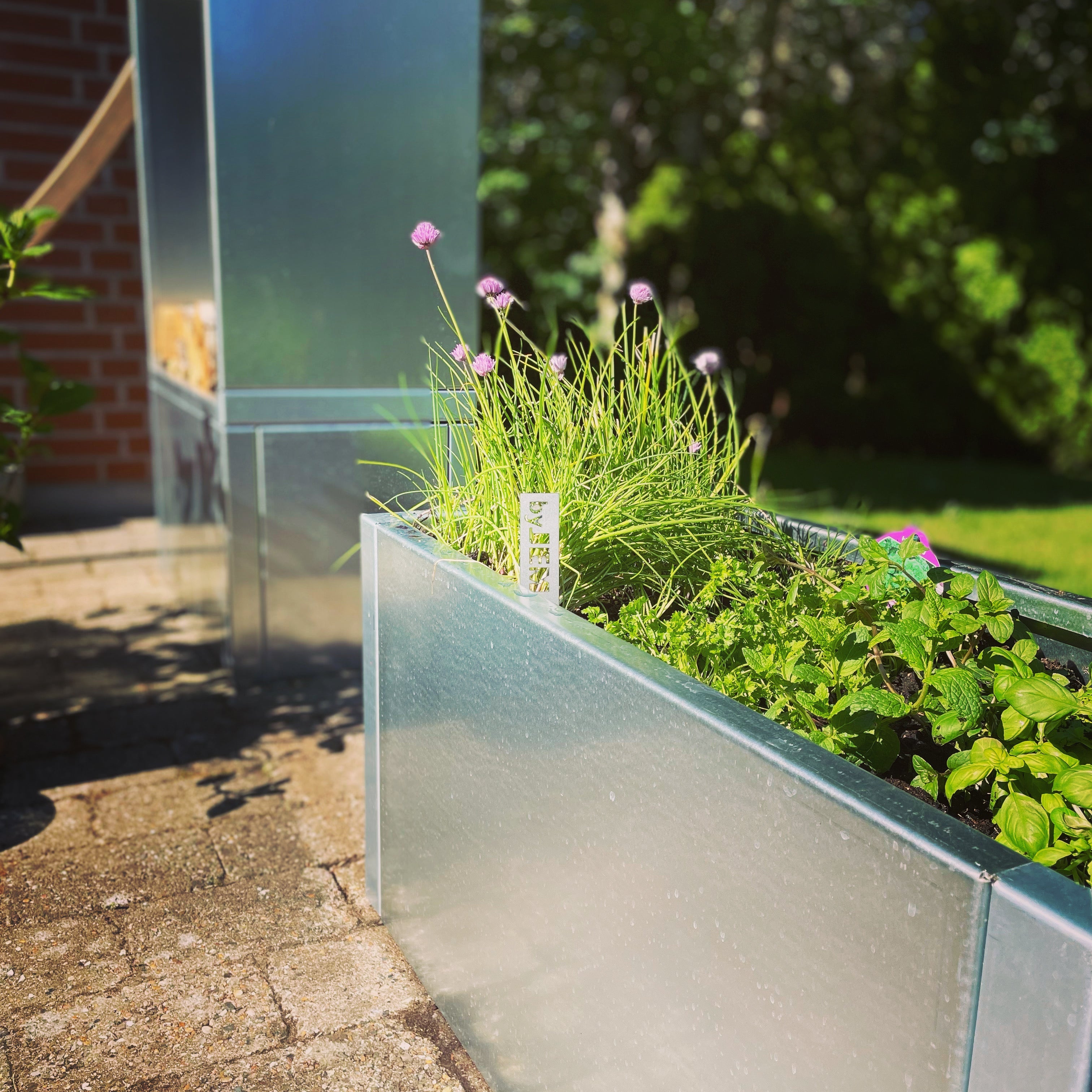 hoejbede-galva-plantekasse-krydderurter-no