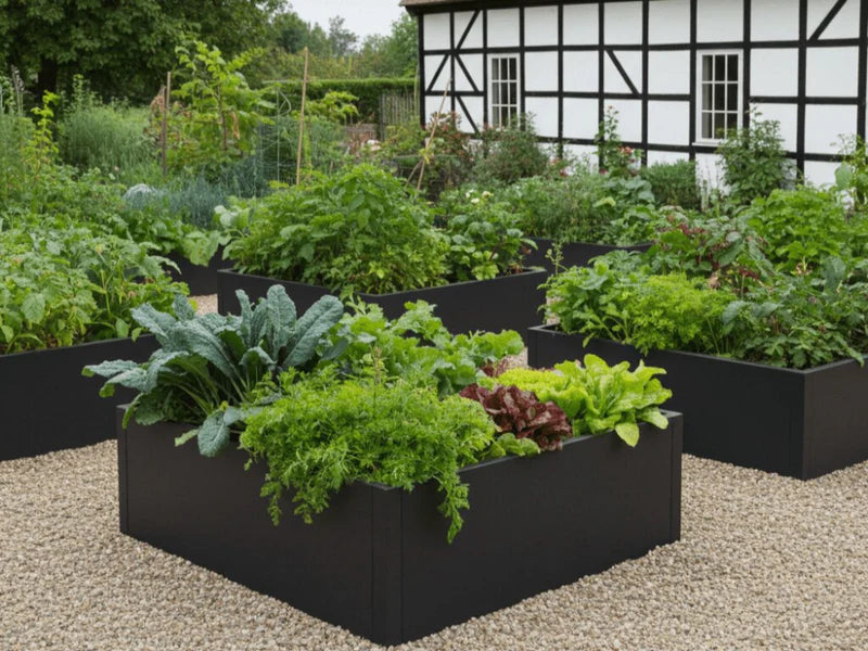 Høybed i svart stål med grønnsaker i kjøkkenhage ved hus