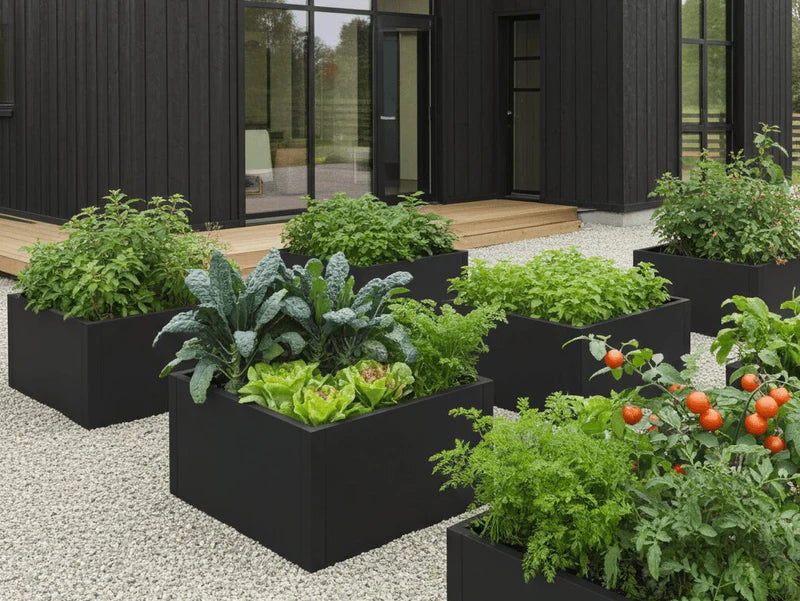 Høybed i svart stål med grønnsaker og urter i moderne kjøkkenhage