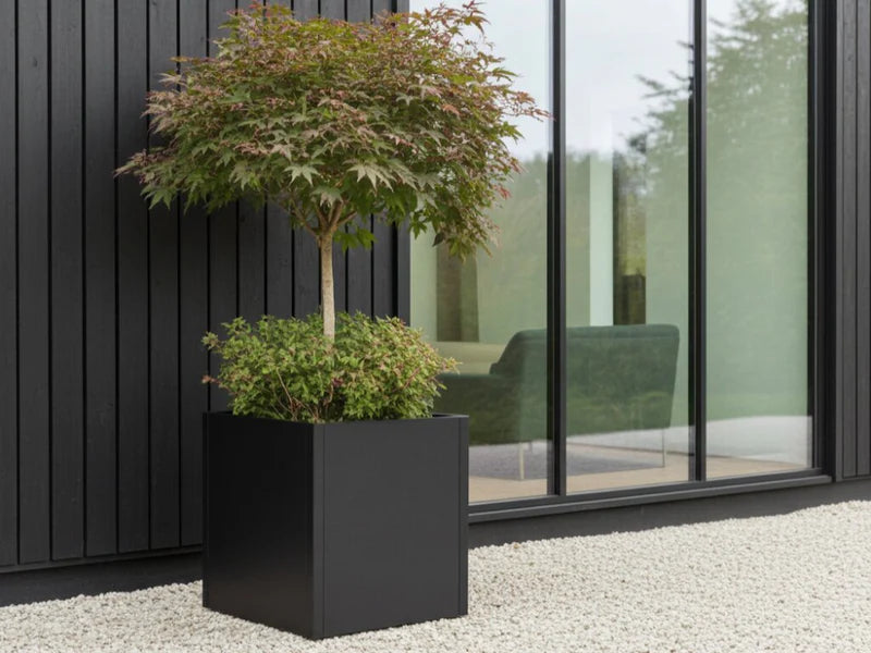 Kvadratisk plantekasse i svart stål med japansk lønn